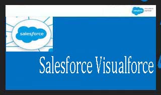 Salesforce Visualforce